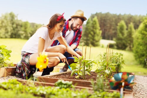 Gardeners Sidcup pricing for a tidy residential garden