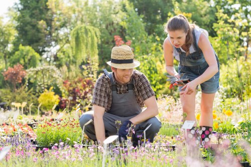 Healthy green lawn care in Sidcup with neat grass and garden edging