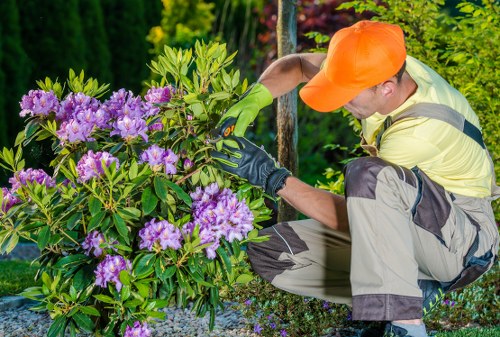 Local gardener maintaining a healthy residential garden in Sidcup