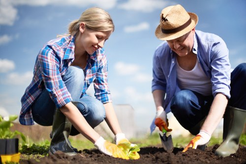 Professional garden care and shaping in Sidcup