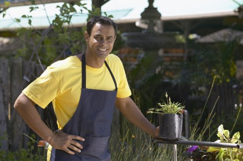 Lawn mowing and seasonal upkeep in a Sidcup garden