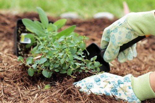 Visual for screen-reader friendly garden service information