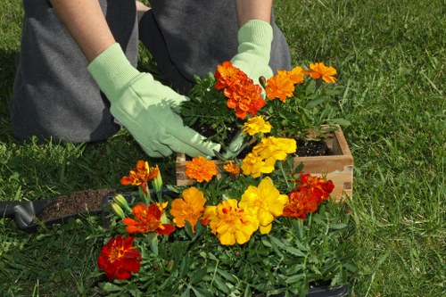 Waste disposal and lawful green waste handling