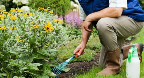 Load-based garden waste removal quote in Sidcup