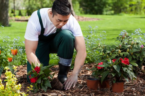 Year-round garden maintenance in Sidcup with clean pathways