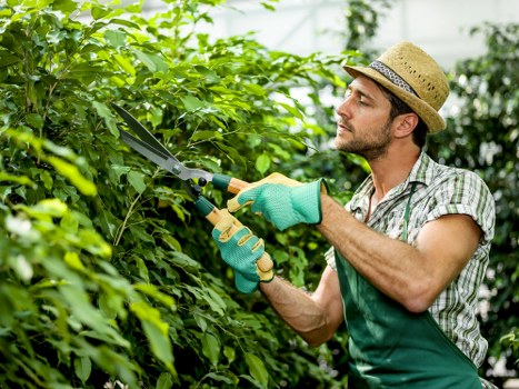 Responsible garden waste recycling and sustainability practices in Sidcup
