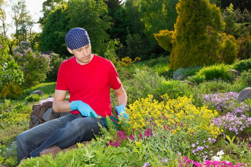 Seasonal garden maintenance in Sidcup with planting and hedge care