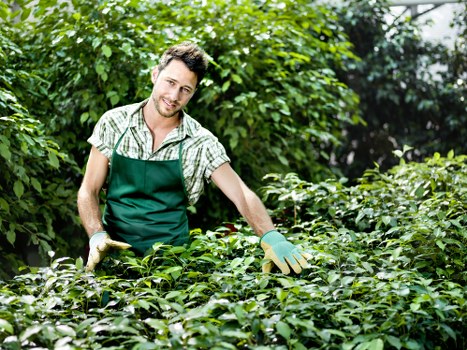 Garden clearance and maintenance scene