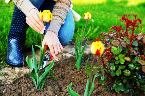 Analytics cookies helping monitor website performance for Sidcup gardening pages