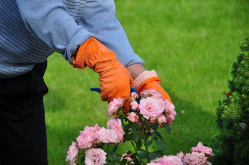 Local recycling and waste separation materials used in a Sidcup garden service