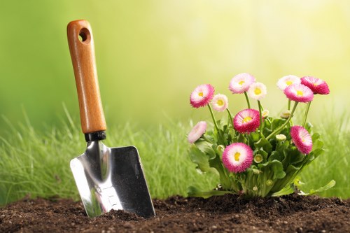 Professional landscape gardening in Sidcup with structured borders and patio