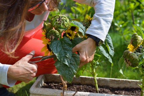 Charitable reuse of garden equipment and materials in Sidcup