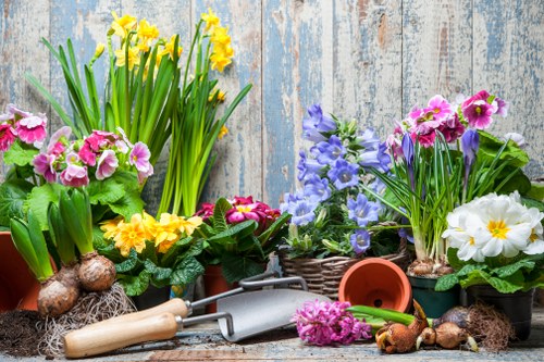 Year-round garden upkeep and landscaping support in Sidcup