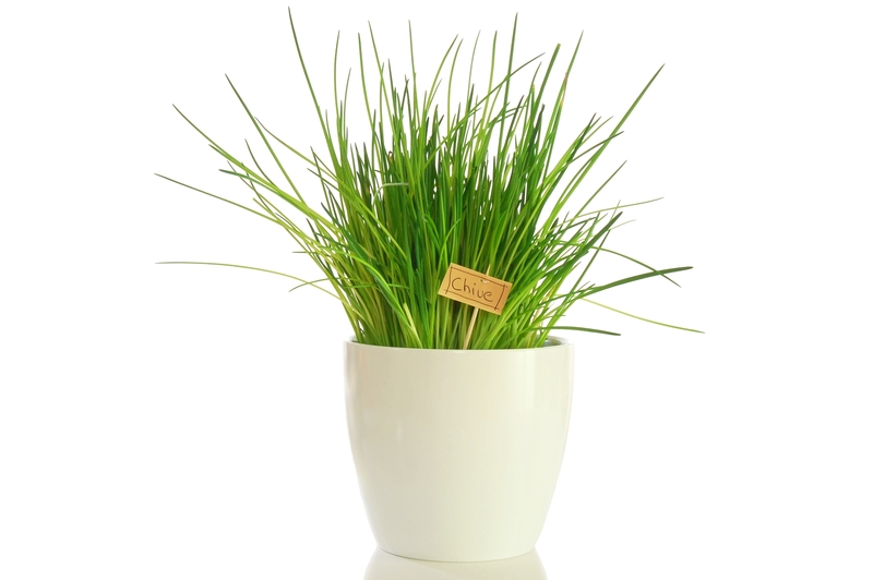 Professional gardening Garden